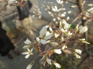 [写真: ?-4 2]